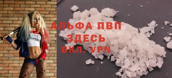 сатива Краснослободск