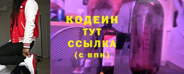 сатива Краснослободск
