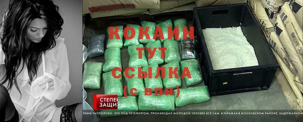 сатива Краснослободск